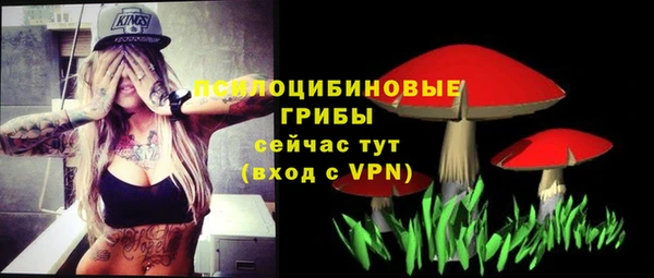 дурь Беломорск